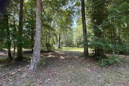 323 Stoudenmire St  photo 4