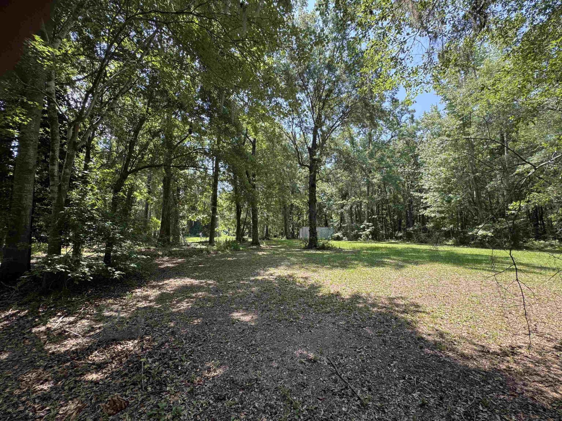 323 Stoudenmire St  Photo 5