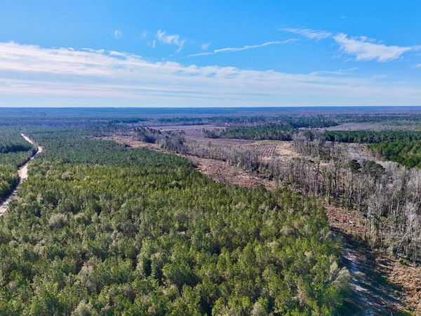 0 Tillman Cemetery Road, Lumber City, GA 31549