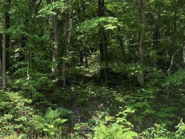 2.81 Acre N 90th Avenue, Eau Claire, WI 54703