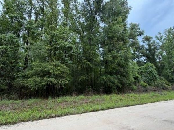 NE 312TH AVE, Other, FL 32680