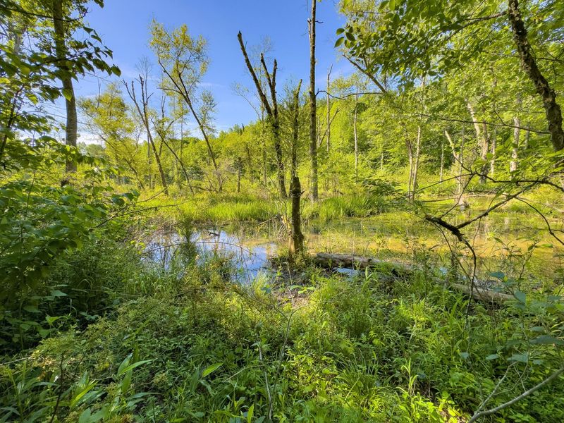 0 Jake Road , Patriot, OH 45658 Photo 10
