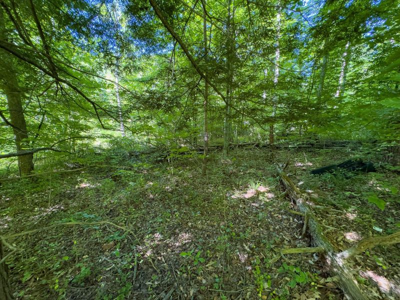 0 Jake Road , Patriot, OH 45658 Photo 11