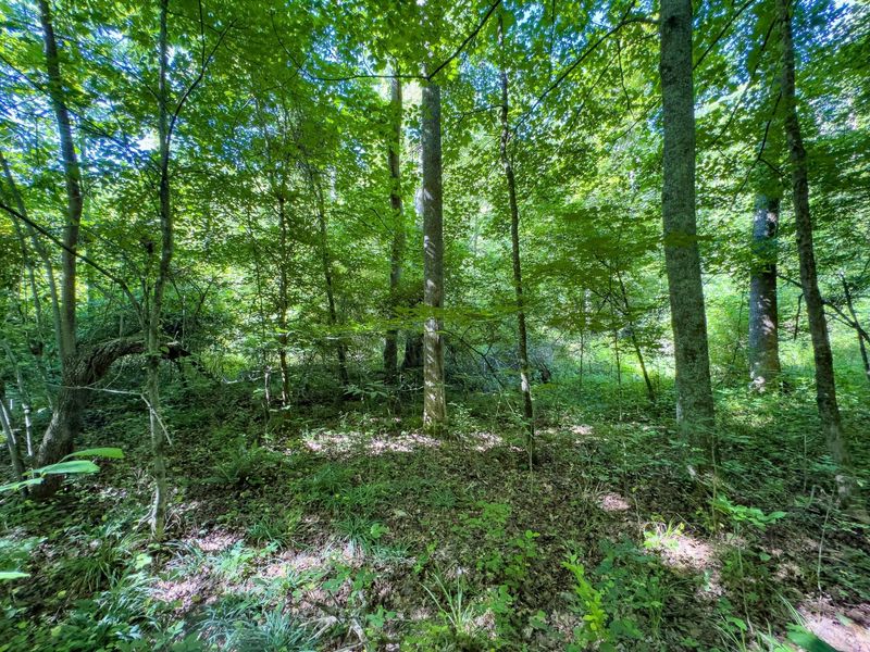 0 Jake Road , Patriot, OH 45658 Photo 13
