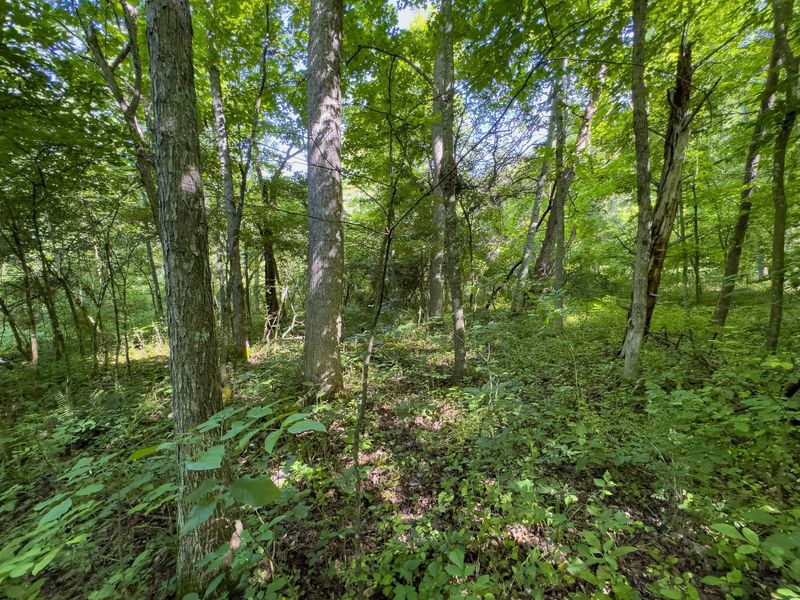 0 Jake Road , Patriot, OH 45658 Photo 15