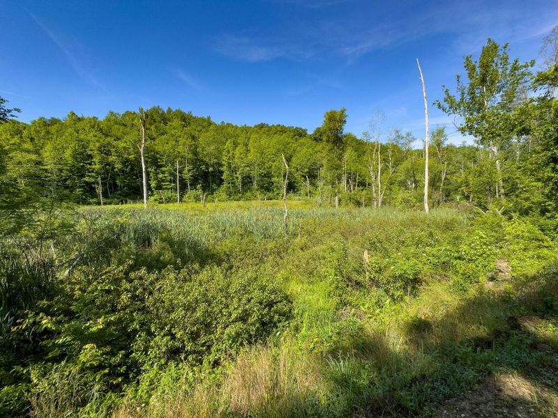 0 Jake Road , Patriot, OH 45658 Photo 5