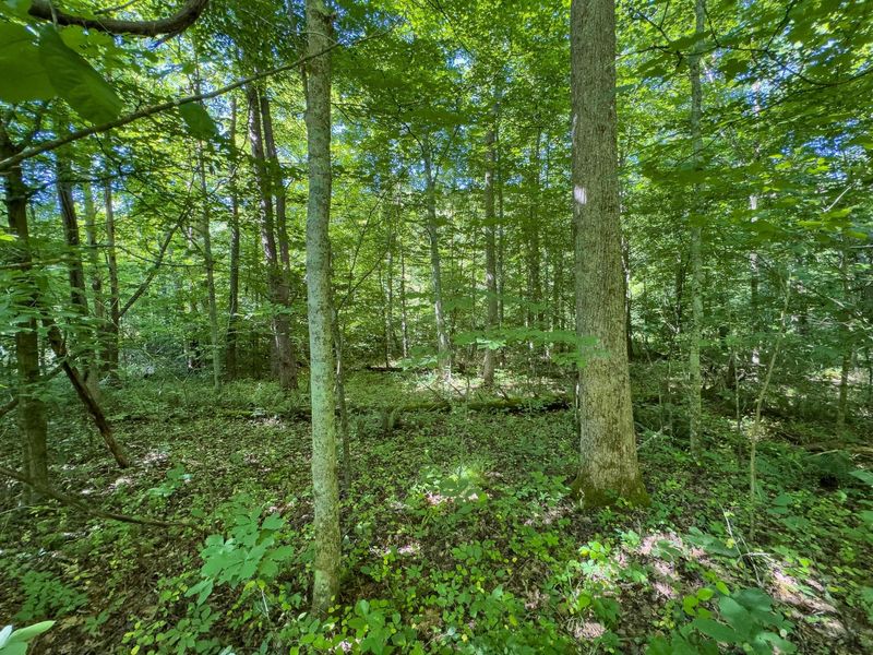 0 Jake Road , Patriot, OH 45658 Photo 7
