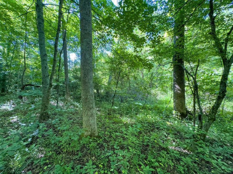 0 Jake Road , Patriot, OH 45658 Photo 9