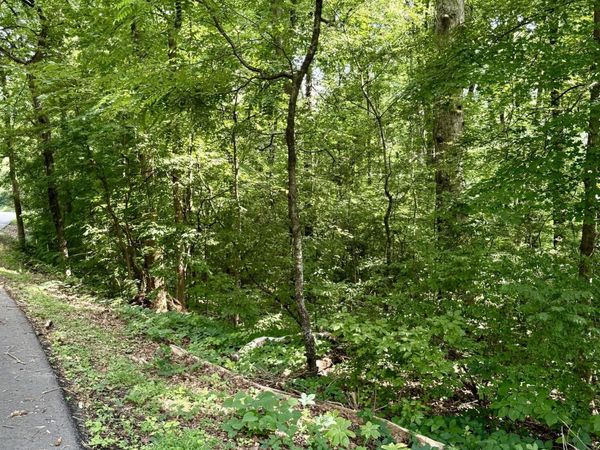 0 Edgewood Drive, Sweetwater, TN 37874