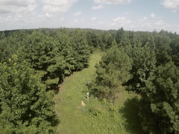 TBD CR 1640, Jefferson, TX 75657
