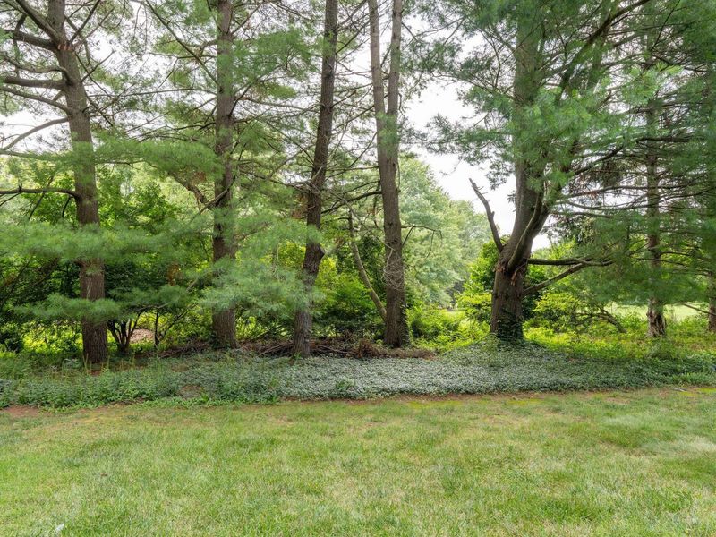 1350 Carriage Road, Powell, OH 43065 Photo 51