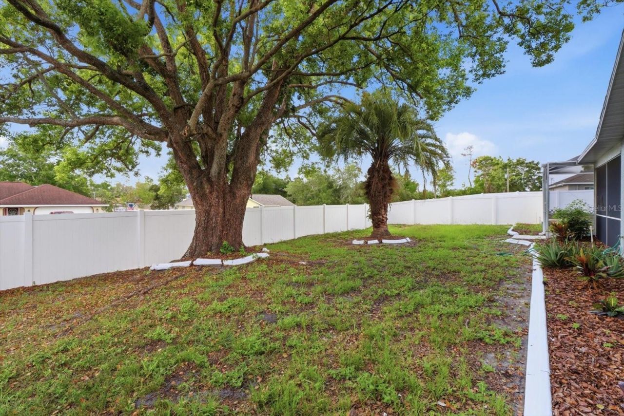 9642 Elgin Boulevard, Spring Hill, FL 34606 Photo