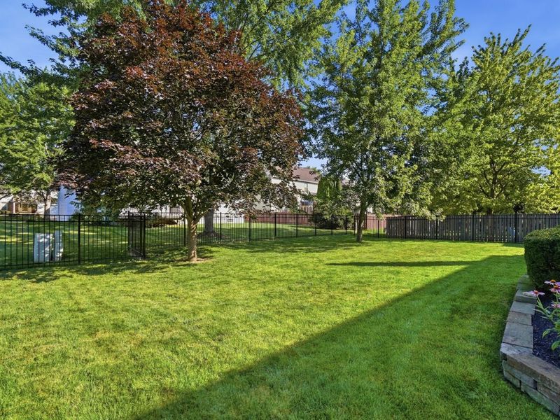 2919 Snowberry Lane, Hilliard, OH 43026 Photo 54