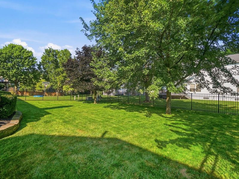 2919 Snowberry Lane, Hilliard, OH 43026 Photo 55