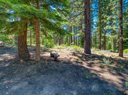 1537 Cherry Hills Circle, South Lake Tahoe, CA 96150 Photo