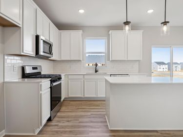 15022 Askeaton Place, Rosemount, MN 55068