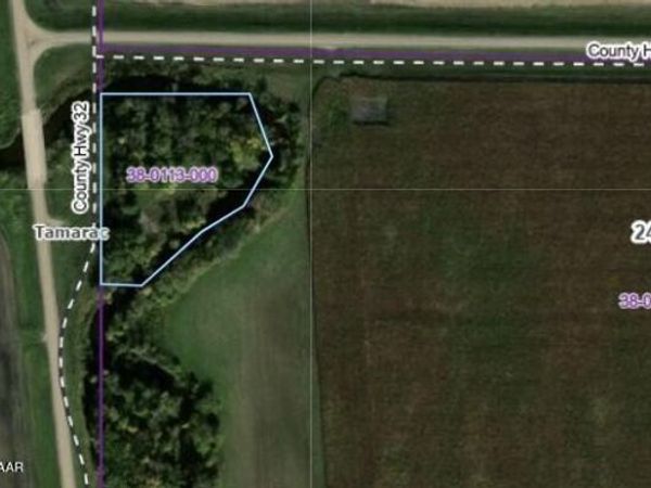 RR TAMARAC TOWNSHIP P 38-0113000 , Argyle, MN 56713