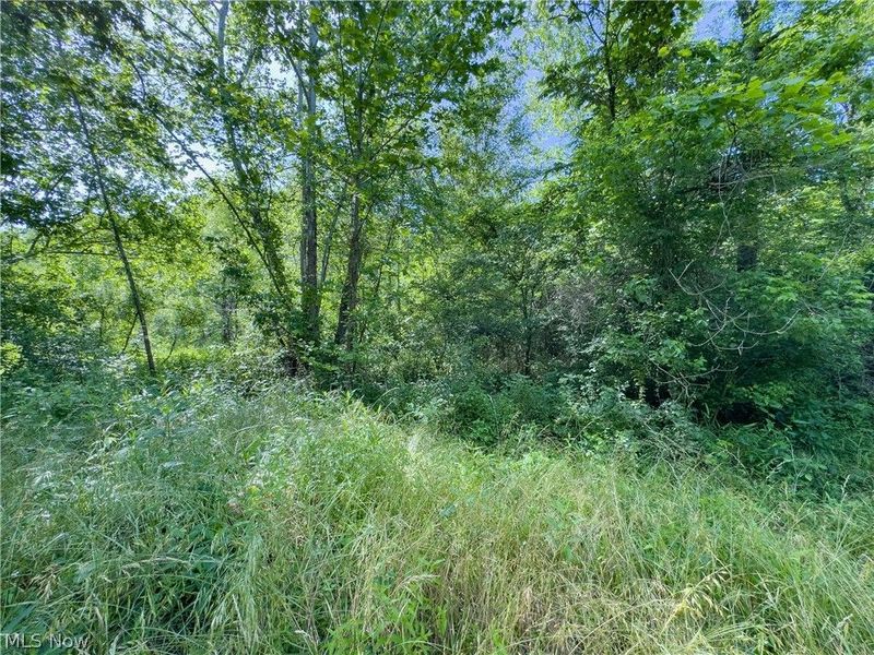 Tract 3 Jake Road, Patriot, OH 45658 Photo 10