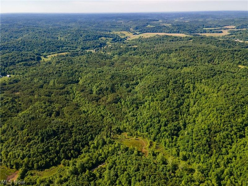 Tract 3 Jake Road, Patriot, OH 45658 Photo 12