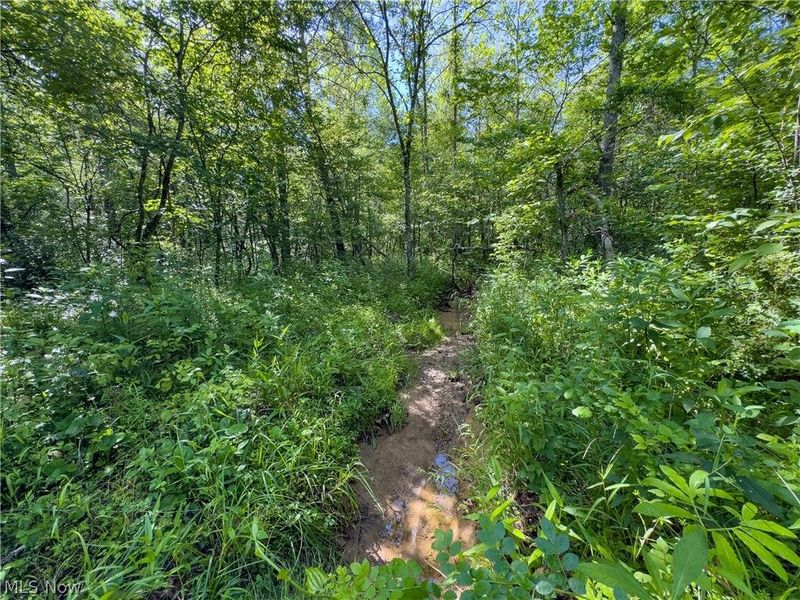 Tract 3 Jake Road, Patriot, OH 45658 Photo 7