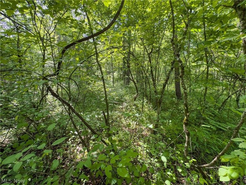 Tract 3 Jake Road, Patriot, OH 45658 Photo 8