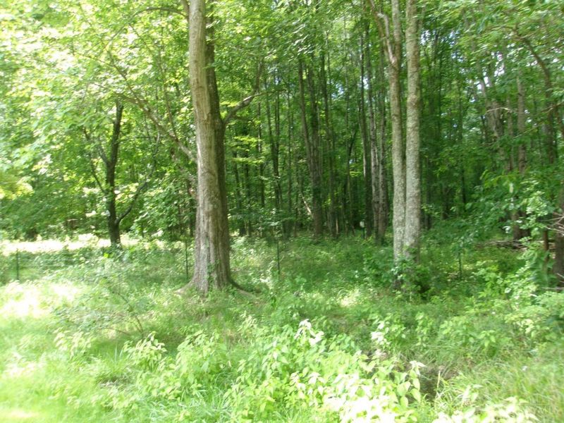 3477 Starling Road, Tate Township, OH 45106 Photo 29