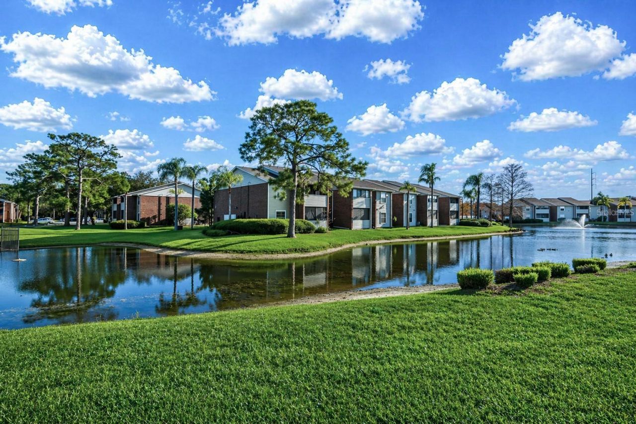1400 Gandy Boulevard N, Unit 607, Saint Petersburg, FL 33702 Photo