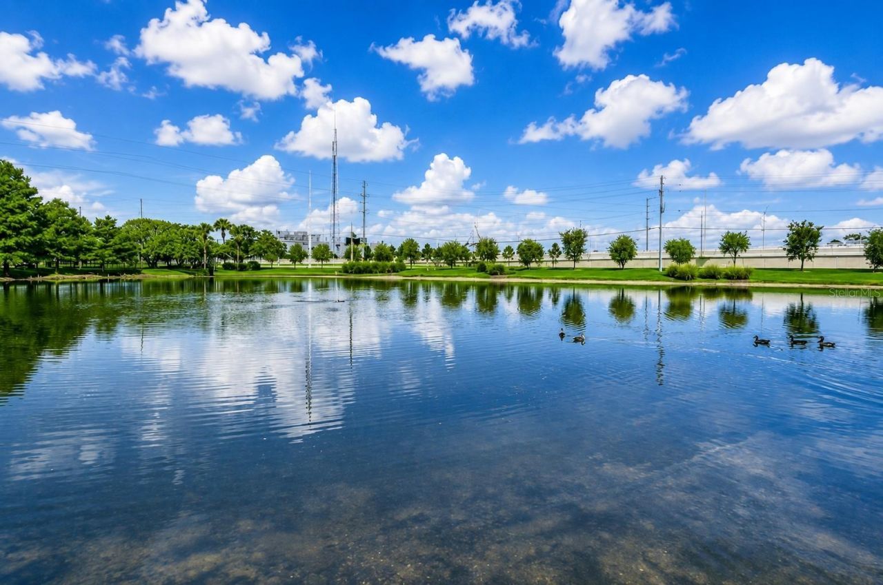 1400 Gandy Boulevard N, Unit 607, Saint Petersburg, FL 33702 Photo