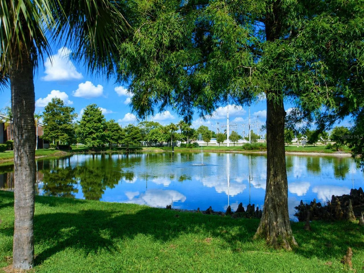 1400 Gandy Boulevard N, Unit 607, Saint Petersburg, FL 33702 Photo