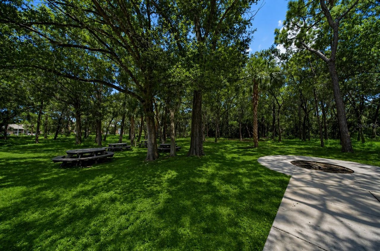1400 Gandy Boulevard N, Unit 607, Saint Petersburg, FL 33702 Photo