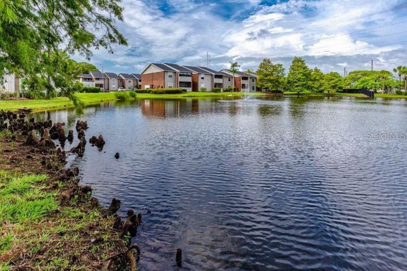 1400 Gandy Boulevard N, Unit 607, Saint Petersburg, FL 33702 Photo