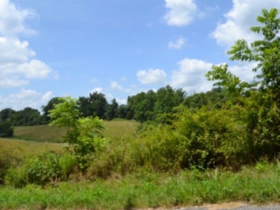 Property Image 30