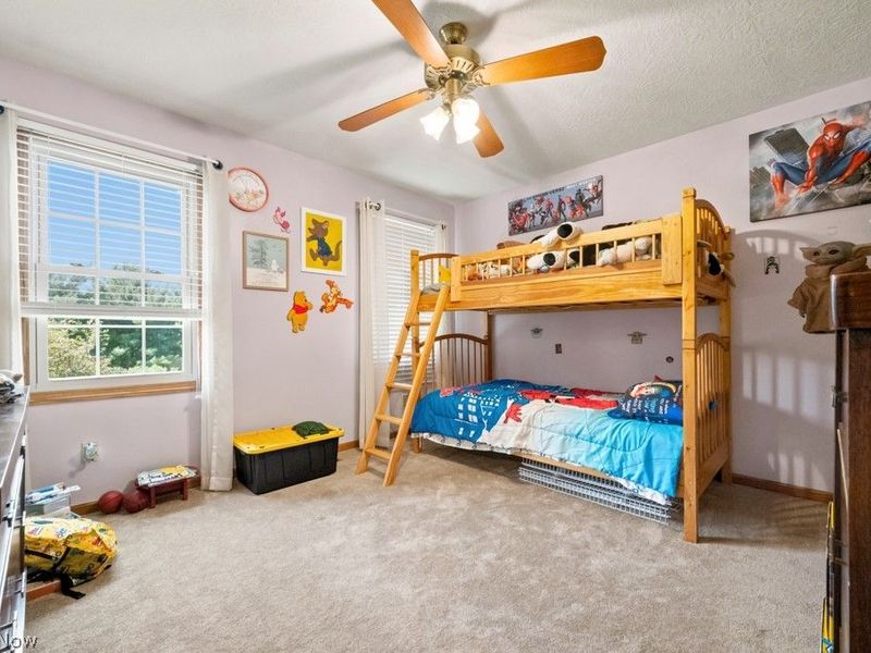 3303 W Smithville Western Road, Wooster, OH 44691 Photo 25