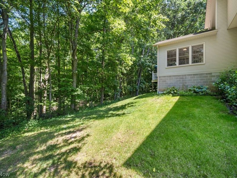 3303 W Smithville Western Road, Wooster, OH 44691 Photo 33