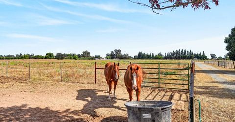 17500 E Collier Rd, Acampo, CA 95220 Photo