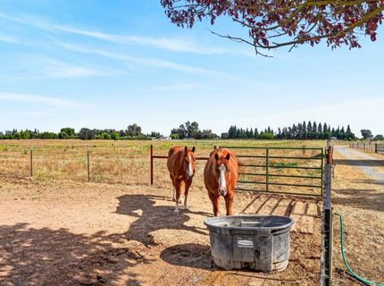 17500 E Collier Rd, Acampo, CA 95220 Photo