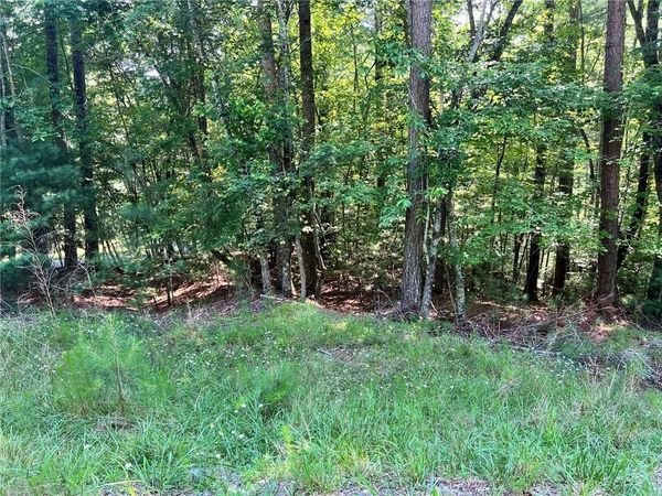 00 Alpine 3625 Drive , Ellijay, GA 30540