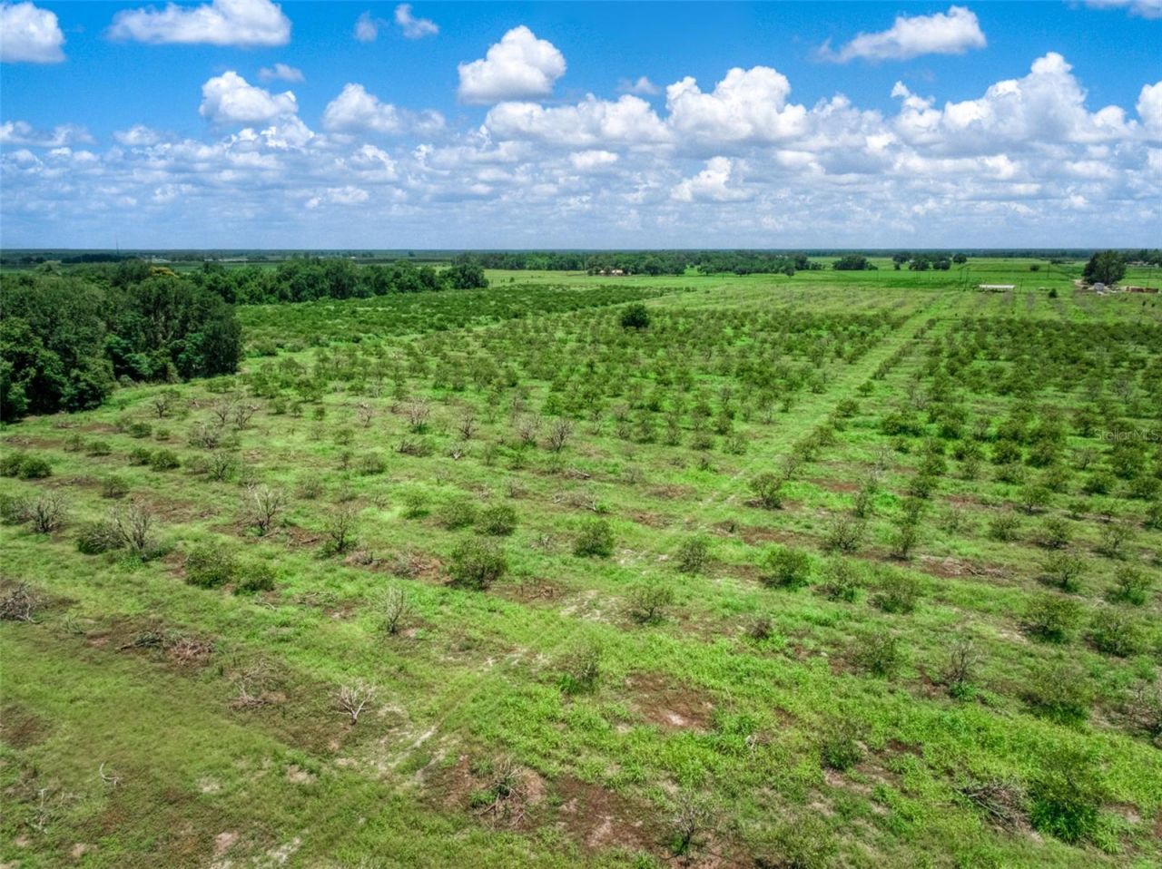 0 Stephens Road , Wauchula, FL 33873 Photo