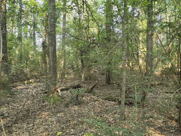 000 Alabama Street, Roxie, MS 39661