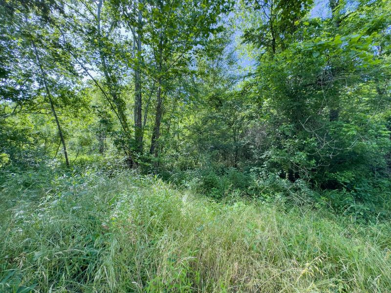 Tract 3 Jake Road , Patriot, OH 45658 Photo 10