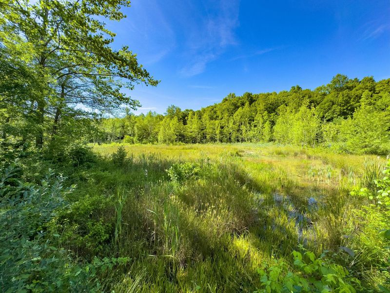 Tract 3 Jake Road , Patriot, OH 45658 Photo 11