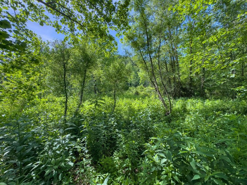 Tract 3 Jake Road , Patriot, OH 45658 Photo 5