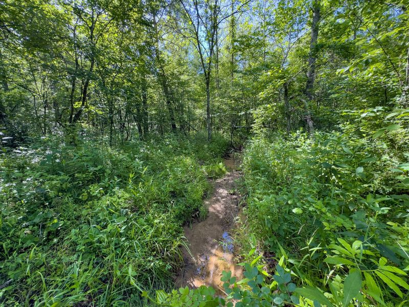 Tract 3 Jake Road , Patriot, OH 45658 Photo 7