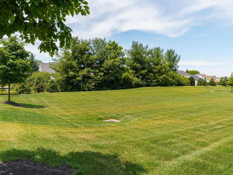 7421 Phoebe Lane, Powell, OH 43065 Photo 51