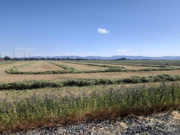 TBD Soldier Ih Lot 2 Blk 1, Fairfield, ID 83327