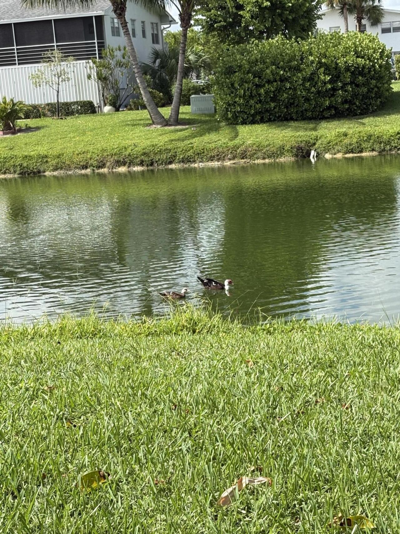 25 Kent B, West Palm Beach, FL 33417 Photo