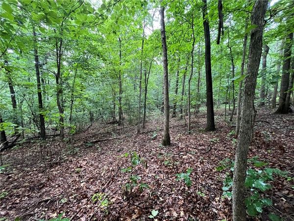 Lot 28, Block 2 N Moors Lane , Bella Vista, AR 72714