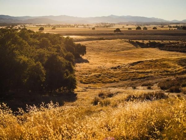 68365 Jolon Road, Bradley, CA 93426