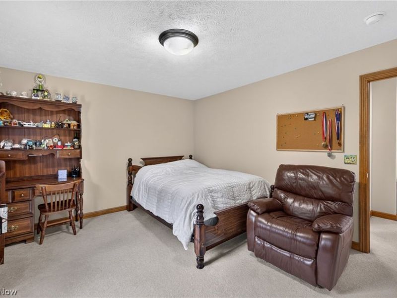 10803 Ellison Creek Drive, Concord Township, OH 44077 Photo 35