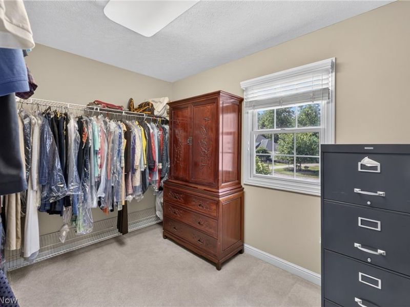 10803 Ellison Creek Drive, Concord Township, OH 44077 Photo 36